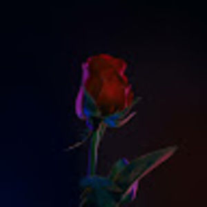 Meet your Posher, Jazling